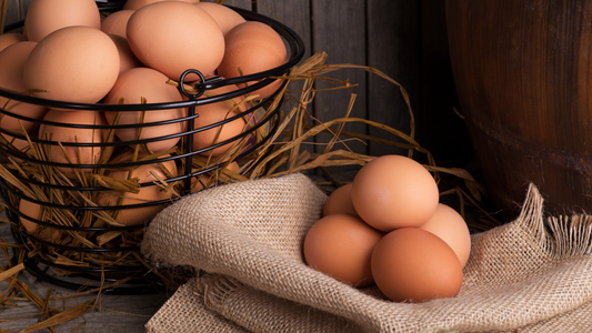 Costo de producción del huevo