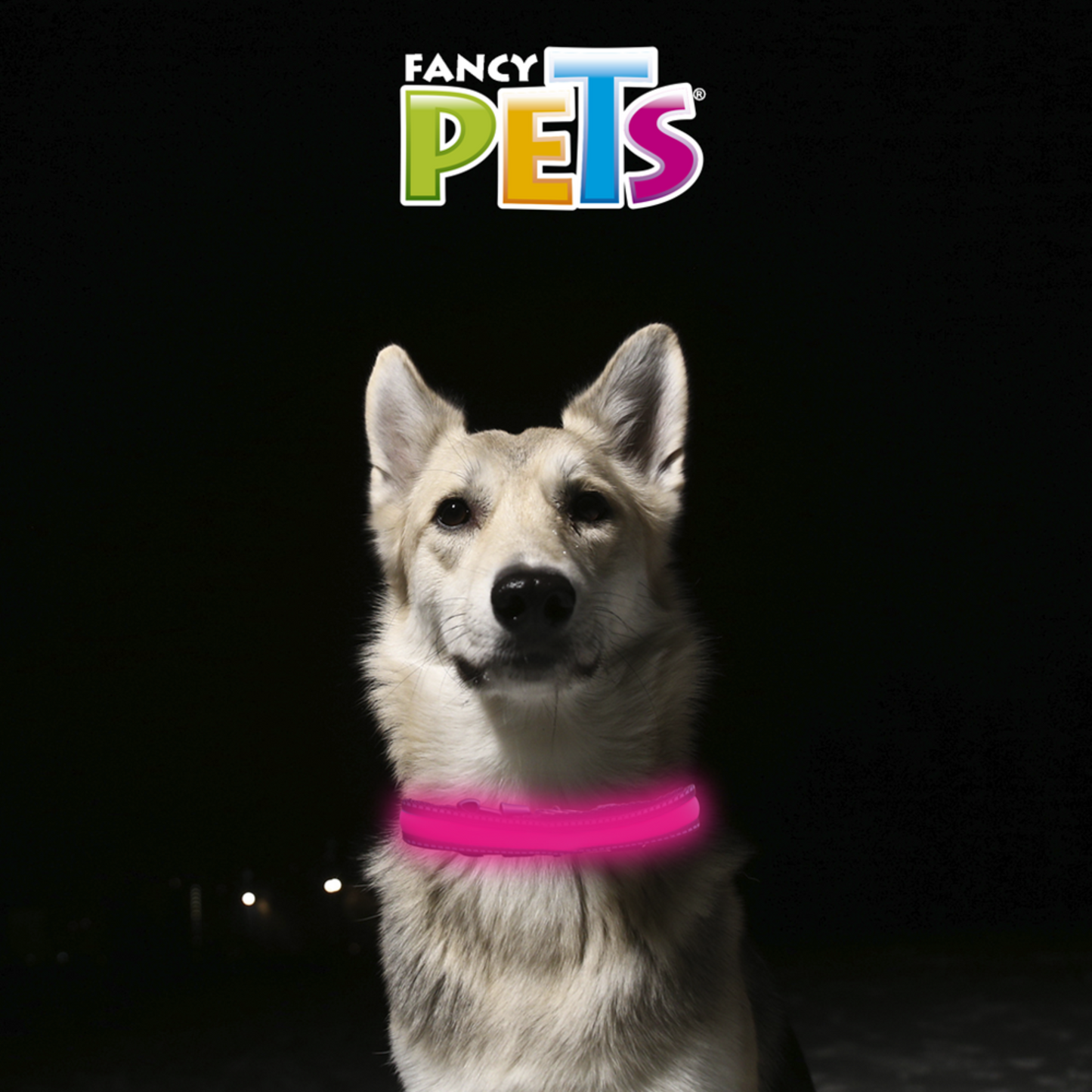 Collar Led Bandas Reflejantes