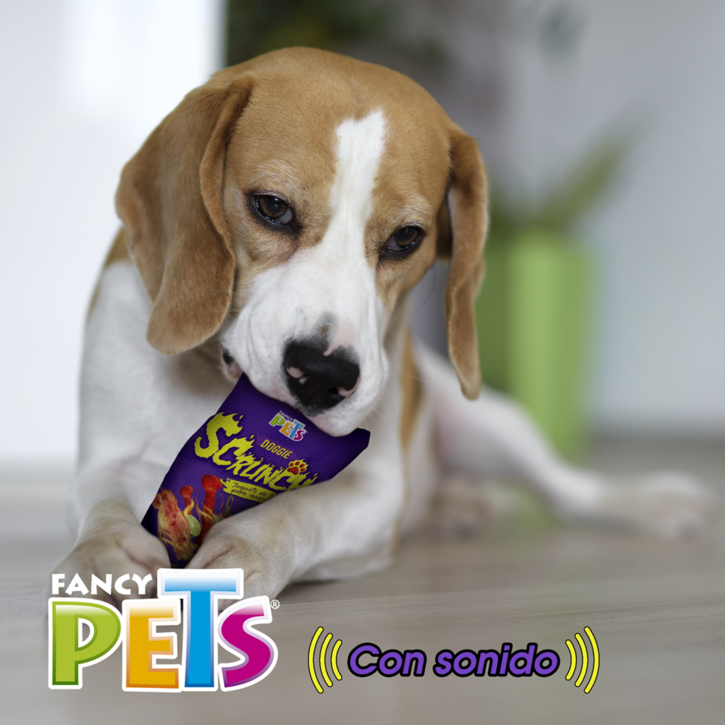Juguete De Tela Doggie Scrunch
