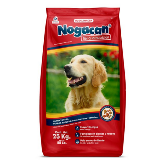 Nogacan Adulto
